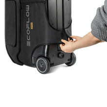 Load image into Gallery viewer, EcoFlow DELTA Pro Bag | Lightweight, Waterproof, and Wear-Resistant Bag